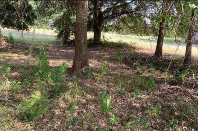 6 Wild Iris Court, Huntsville, TX 77340