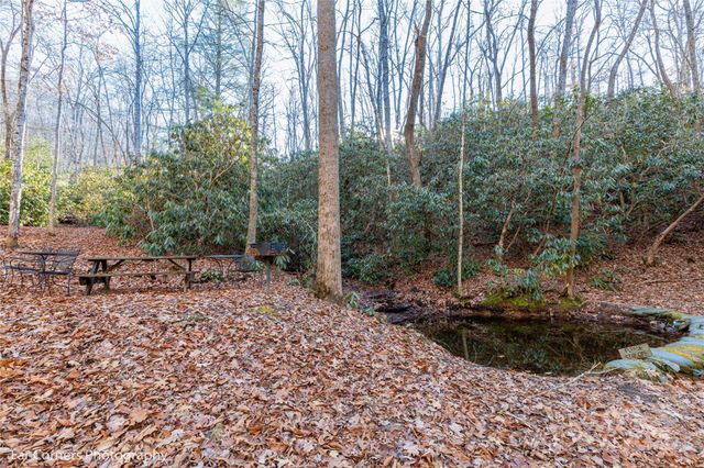 99999 Sourwood Road, Canton, NC 28716