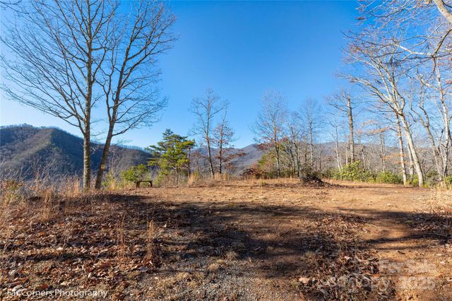 99999 Sourwood Road, Canton, NC 28716