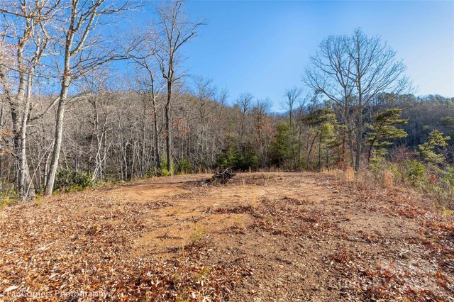 99999 Sourwood Road, Canton, NC 28716