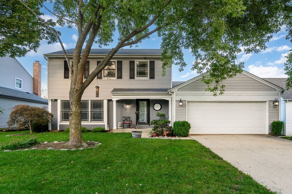 737 Brian Avenue, Schaumburg, IL 60194 — exterior