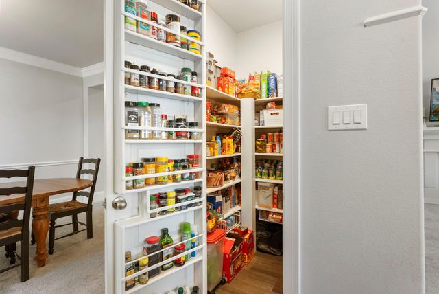 148 Kit Fox Court, Montgomery, TX 77316