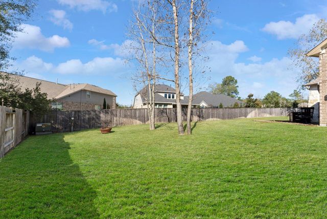 148 Kit Fox Court, Montgomery, TX 77316