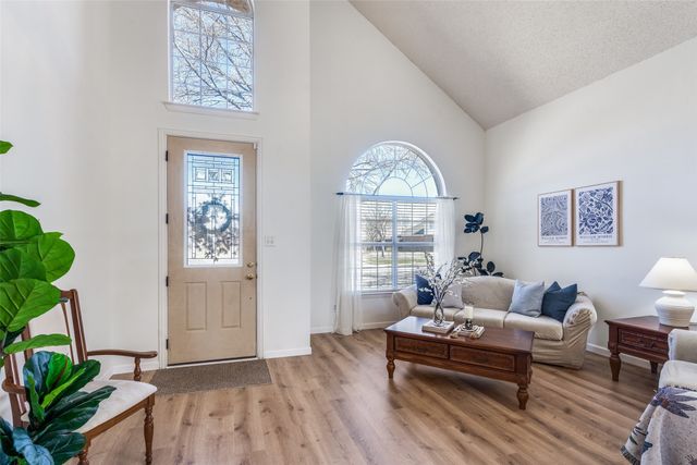 1717 Angel Falls Drive, Frisco, TX 75036