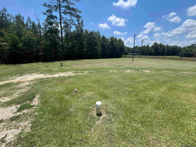 13567 Arnold Rd, Walker, LA 70785