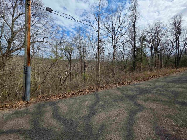 L-12 B-4 Will Scarlet Drive, Hardy, AR 72542