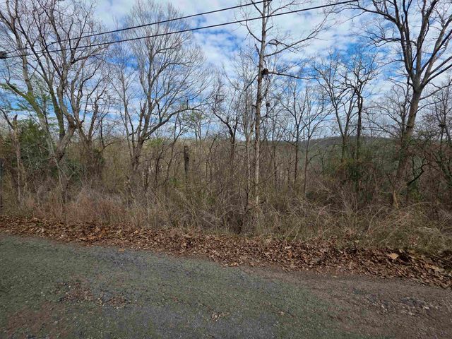 L-12 B-4 Will Scarlet Drive, Hardy, AR 72542