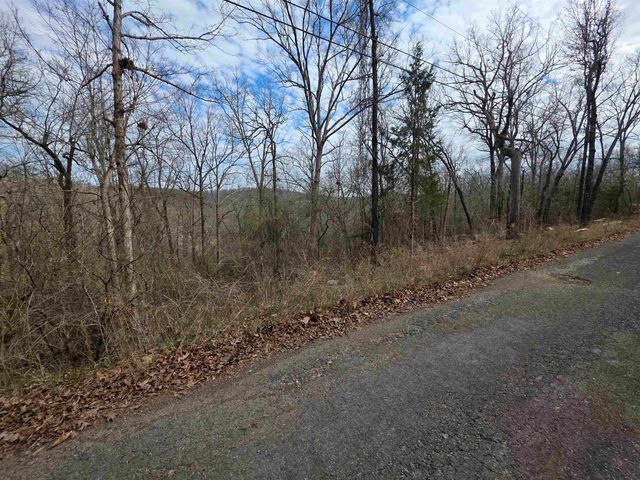 L-12 B-4 Will Scarlet Drive, Hardy, AR 72542