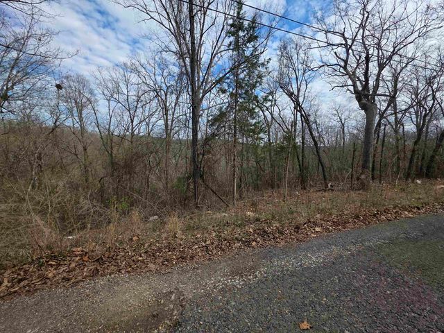 L-12 B-4 Will Scarlet Drive, Hardy, AR 72542