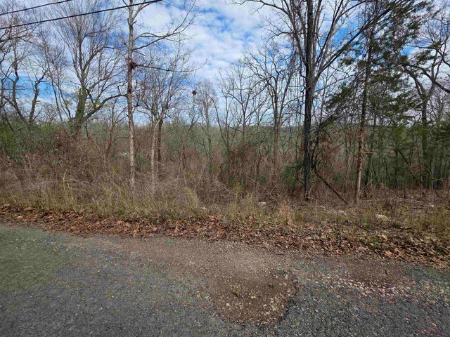 L-12 B-4 Will Scarlet Drive, Hardy, AR 72542