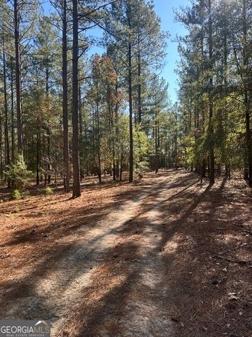 5559 Mill Creek Church Road, Mitchell, GA 30820