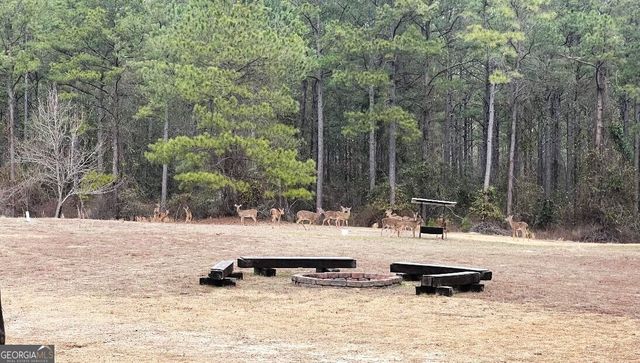 5559 Mill Creek Church Road, Mitchell, GA 30820