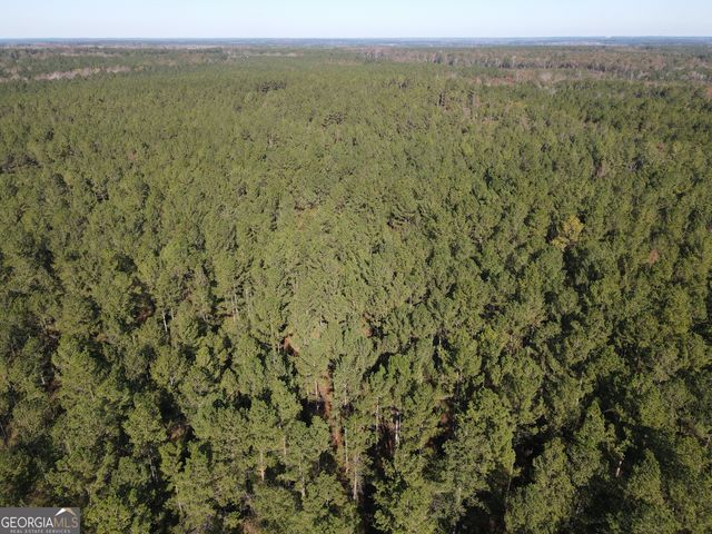 5559 Mill Creek Church Road, Mitchell, GA 30820