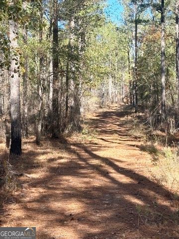 5559 Mill Creek Church Road, Mitchell, GA 30820