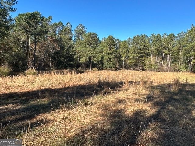 5559 Mill Creek Church Road, Mitchell, GA 30820