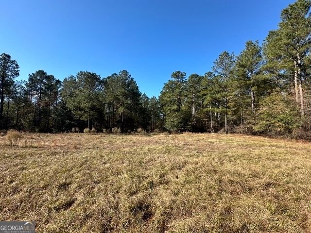 5559 Mill Creek Church Road, Mitchell, GA 30820