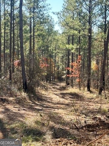 5559 Mill Creek Church Road, Mitchell, GA 30820