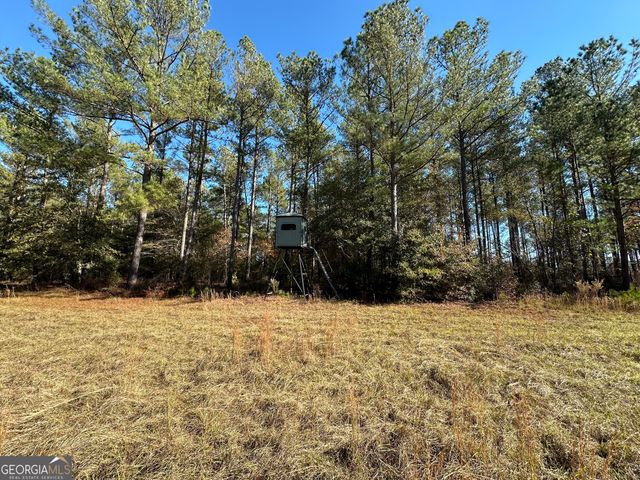 5559 Mill Creek Church Road, Mitchell, GA 30820