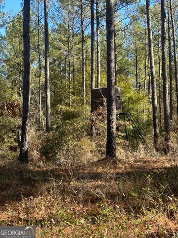 5559 Mill Creek Church Road, Mitchell, GA 30820