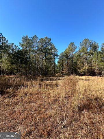 5559 Mill Creek Church Road, Mitchell, GA 30820