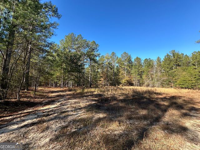 5559 Mill Creek Church Road, Mitchell, GA 30820