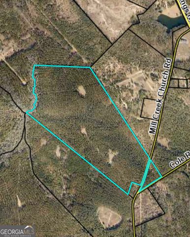 5559 Mill Creek Church Road, Mitchell, GA 30820