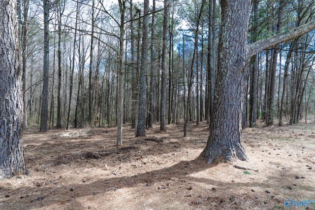 89 Lyle Circle, Somerville, AL 35670