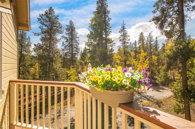 211 Cedar Way, Black Hawk, CO 80422