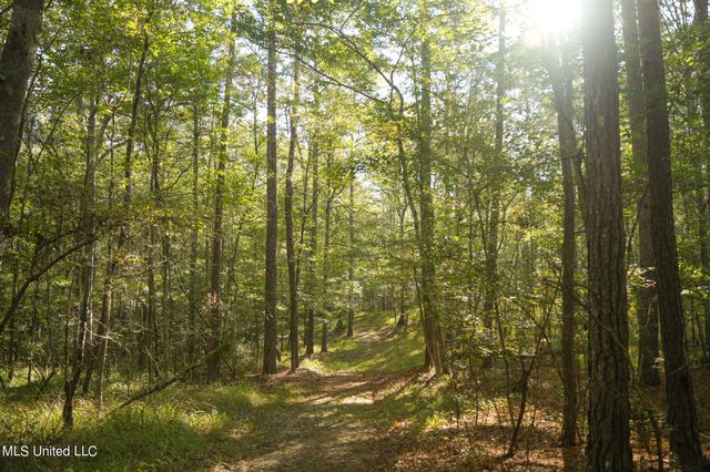 250 Rockwood Road, Florence, MS 39073