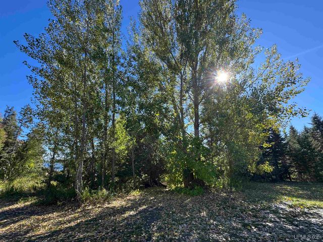 21342 Royce Road, Hancock, MI 49930