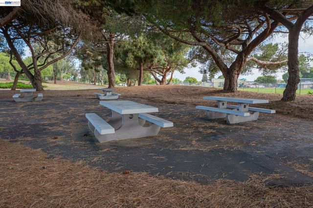 6435 Normandy Drive, Newark, CA 94560