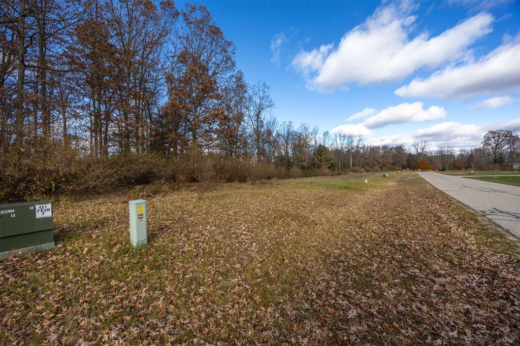 6226 Dublin Drive, Stanwood, MI 49346