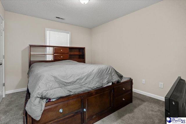 387 Drayton St, Manning, SC 29102