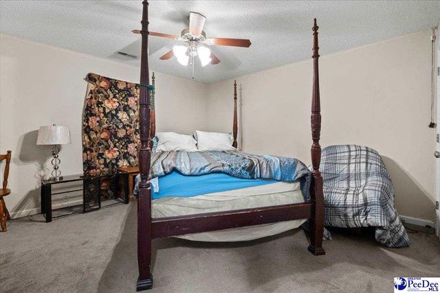 387 Drayton St, Manning, SC 29102