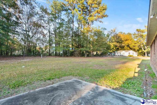 387 Drayton St, Manning, SC 29102