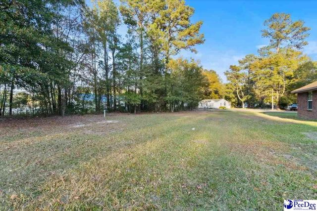 387 Drayton St, Manning, SC 29102