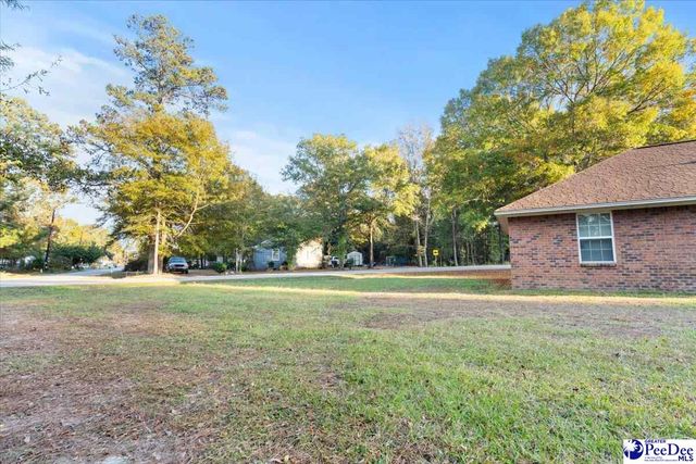 387 Drayton St, Manning, SC 29102