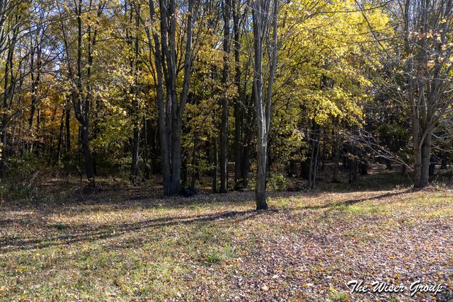 4816 Cole Road, Fenwick, MI 48834