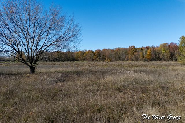 4816 Cole Road, Fenwick, MI 48834