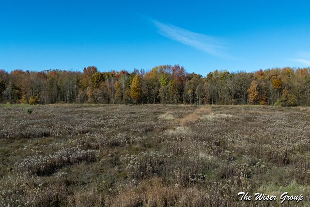 4816 Cole Road, Fenwick, MI 48834