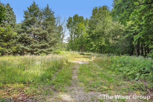 4816 Cole Road, Fenwick, MI 48834