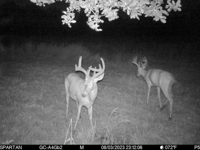 4816 Cole Road, Fenwick, MI 48834