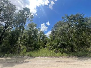 Lot 11 NW 11TH AVENUE, Bell, FL 32619