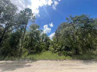 Lot 11 NW 11TH AVENUE, Bell, FL 32619
