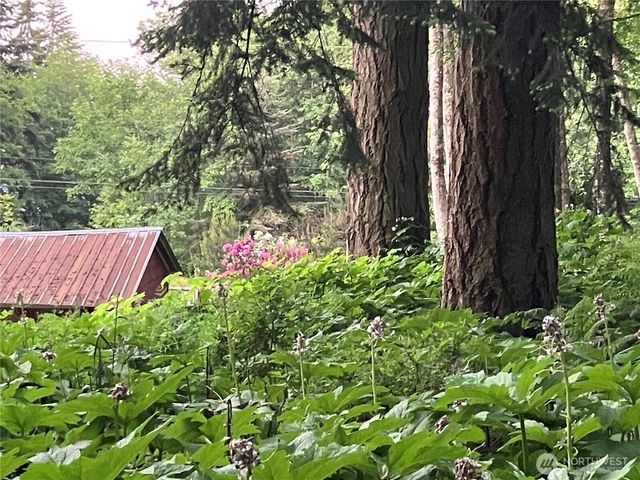 24689 SR 525, Greenbank, WA 98253