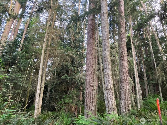 24689 SR 525, Greenbank, WA 98253