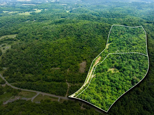 0 Preacher Holt Rd, Mount Pleasant, TN 38474