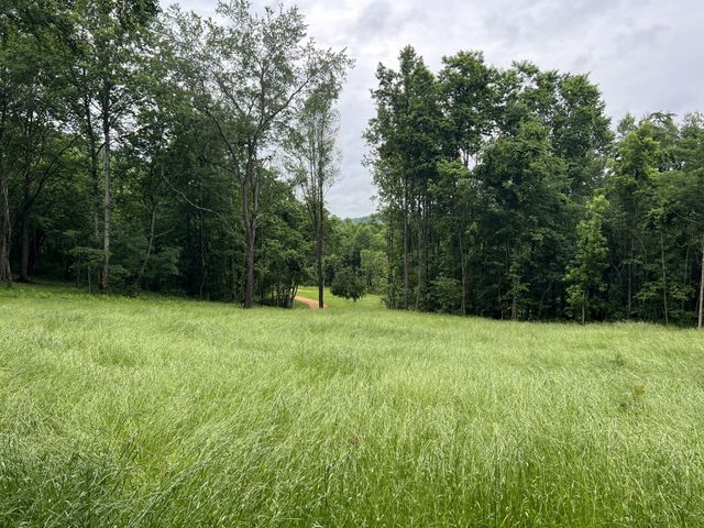 0 Preacher Holt Rd, Mount Pleasant, TN 38474
