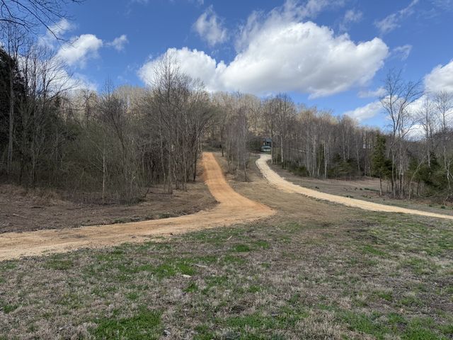 0 Preacher Holt Rd, Mount Pleasant, TN 38474