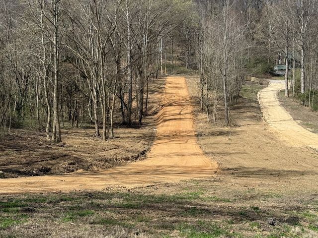 0 Preacher Holt Rd, Mount Pleasant, TN 38474